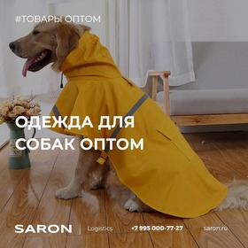 Одежда для собак оптом